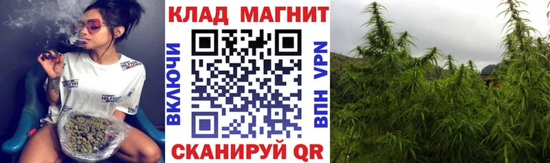 Купить наркотики цена Верхняя Пышма Alpha PVP  КОКАИН  ГАШ  Меф мяу мяу  Галлюциногенные грибы  Марихуана 
