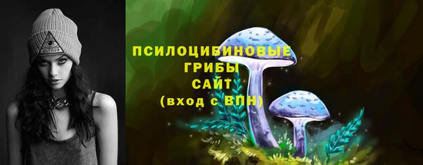 крисы Балахна
