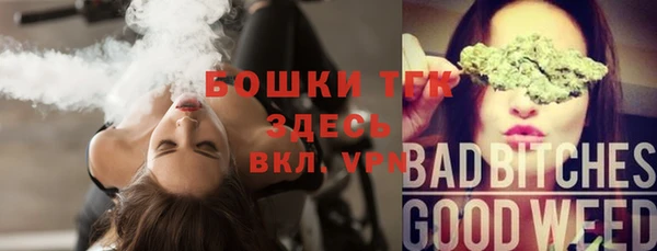 крисы Балахна