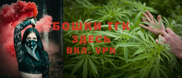 крисы Балахна