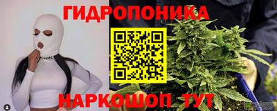 дурь Берёзовский