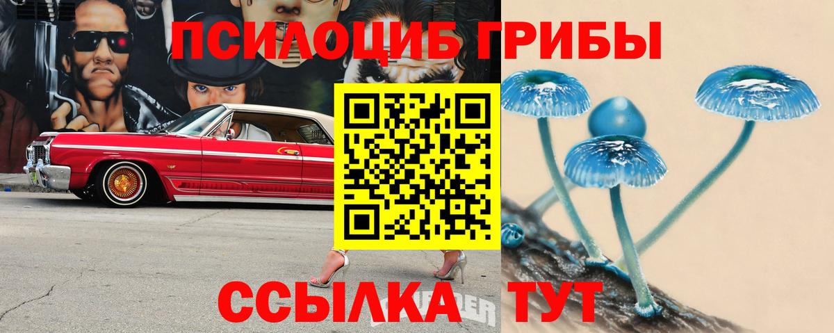 Псилоцибиновые грибы Magic Shrooms  Вход с VPN  Верхняя Пышма 